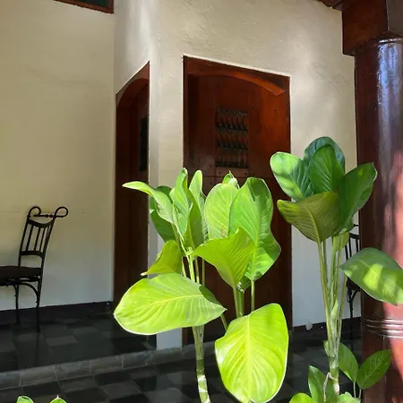 Viavia Leon Hostel Exterior photo